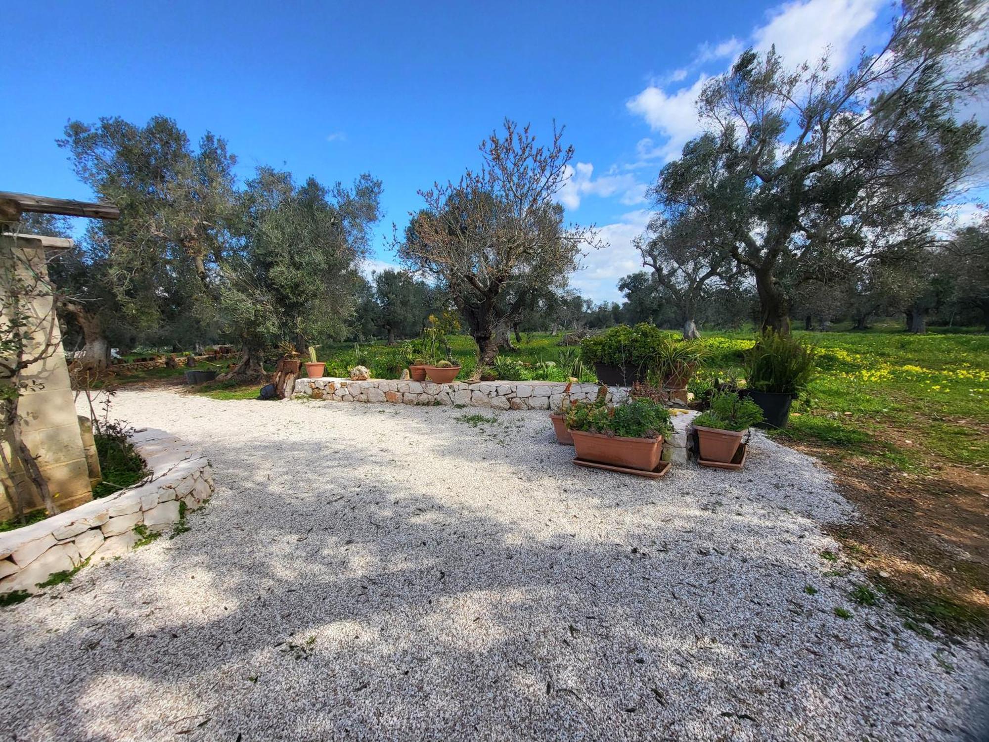 Trullo Incantevole Ostuni Bagian luar foto